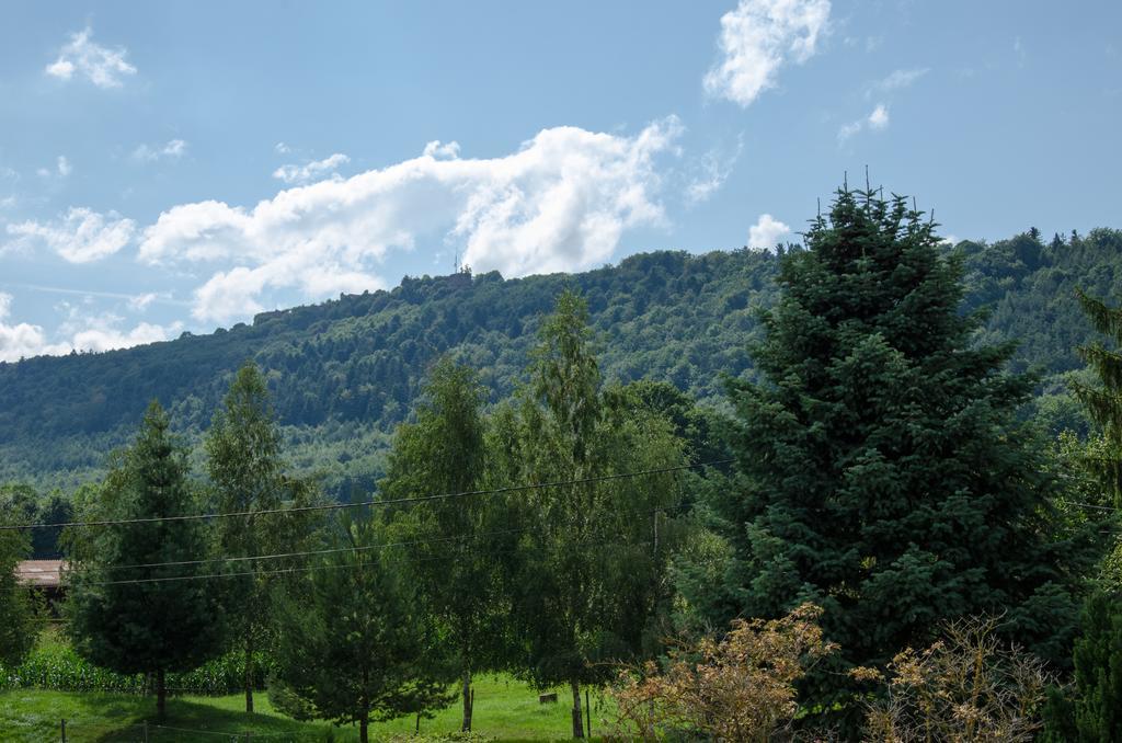 Ferienwohnung Meuble De Tourisme 3* Saverne Zimmer foto